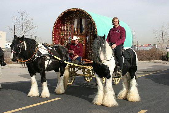 The Lion King and Dinah pulling gypsy wagon