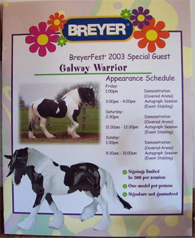 Galway Warrior sign at Breyerfest