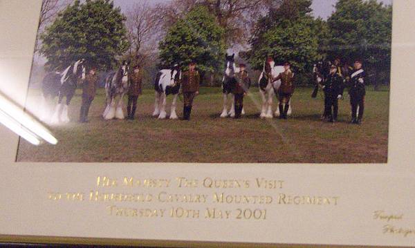 drum horses in England