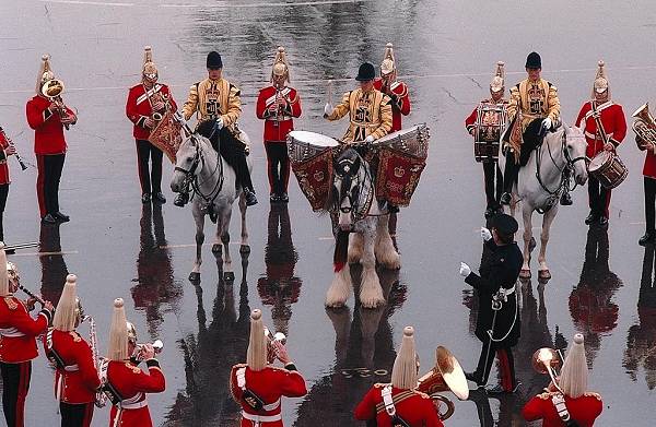 drum horses on parade