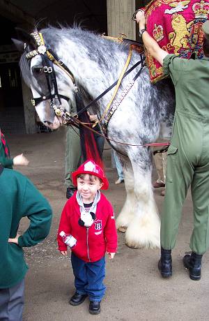 Thomas and drum horse