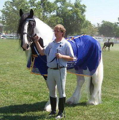 Galway Warrior - Drum Horse Stallion at Breyerfest